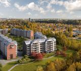 Bostadsområdet Rödängs trädgårdar i Umeå. Foto: Peab Bostad