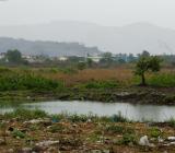 Förorenat vattenlandskap i Inden. Foto: Colourbox