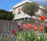 Gislaveds kommunhus. Foto: Gislaveds kommun