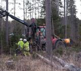 Reparationsarbeten i E.Ons nät efter stormen Ivar. Foto: Lennart Angermund