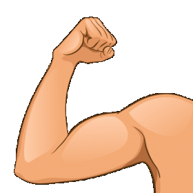 Biceps. Illustration: Colourbox Biceps. Illustration: Colourbox