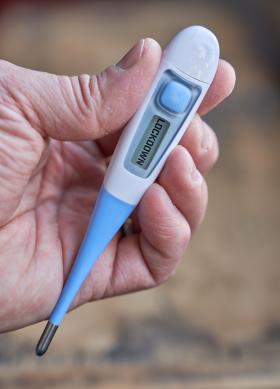 Febertermometer i coronatider, på många håll i världen har nedstängningar lett till mer eller mindre långtgående effekter. Foto: Colourbox Febertermometer i coronatider, på många håll i världen har nedstängningar lett till mer eller mindre långtgående effekter. Foto: Colourbox