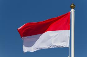 Polska flaggan. Foto: Colourbox