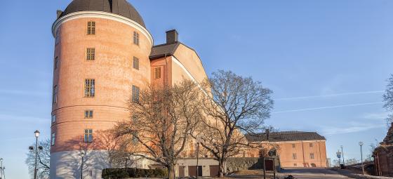 Uppsala slott. Foto: Colourbox Uppsala slott. Foto: Colourbox