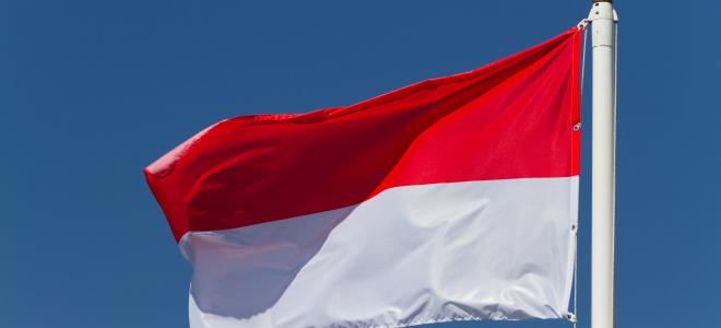 Polska flaggan. Foto: Colourbox