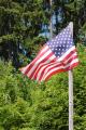 Amerikanska flaggan. Foto: Colourbox Amerikanska flaggan. Foto: Colourbox