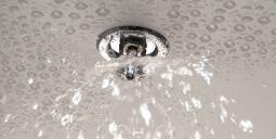 Sprinklerhuvud. Foto: Colourbox